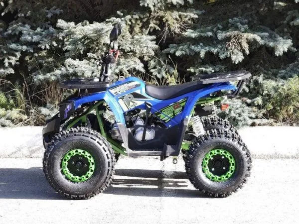 Квадроцикл детский R - MOTO (Р - Мото) Lion 125 A lite синий (машинокомплект) | Мототека